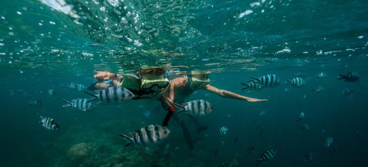 斐济洲际高尔夫温泉度假村(InterContinental Fiji Golf Resort & Spa)图片