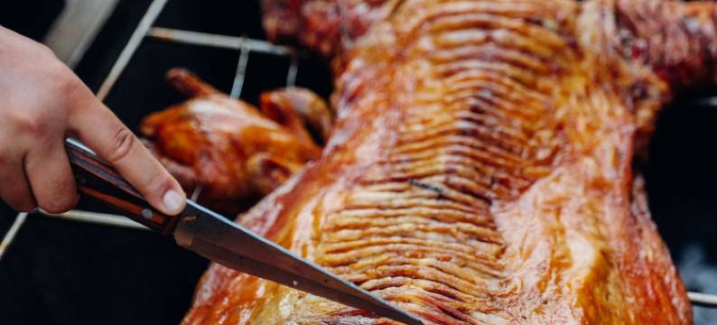 拾光森林民宿图片