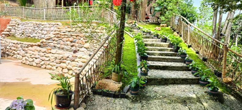 清远中锦居民宿图片