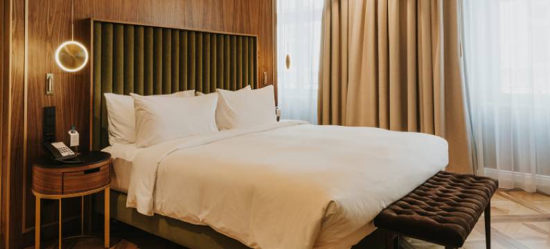 克拉特夫萨斯基亚酒店 - 希尔顿格芮精选系列(Hotel Saski Krakow, Curio Collection by Hilton)图片