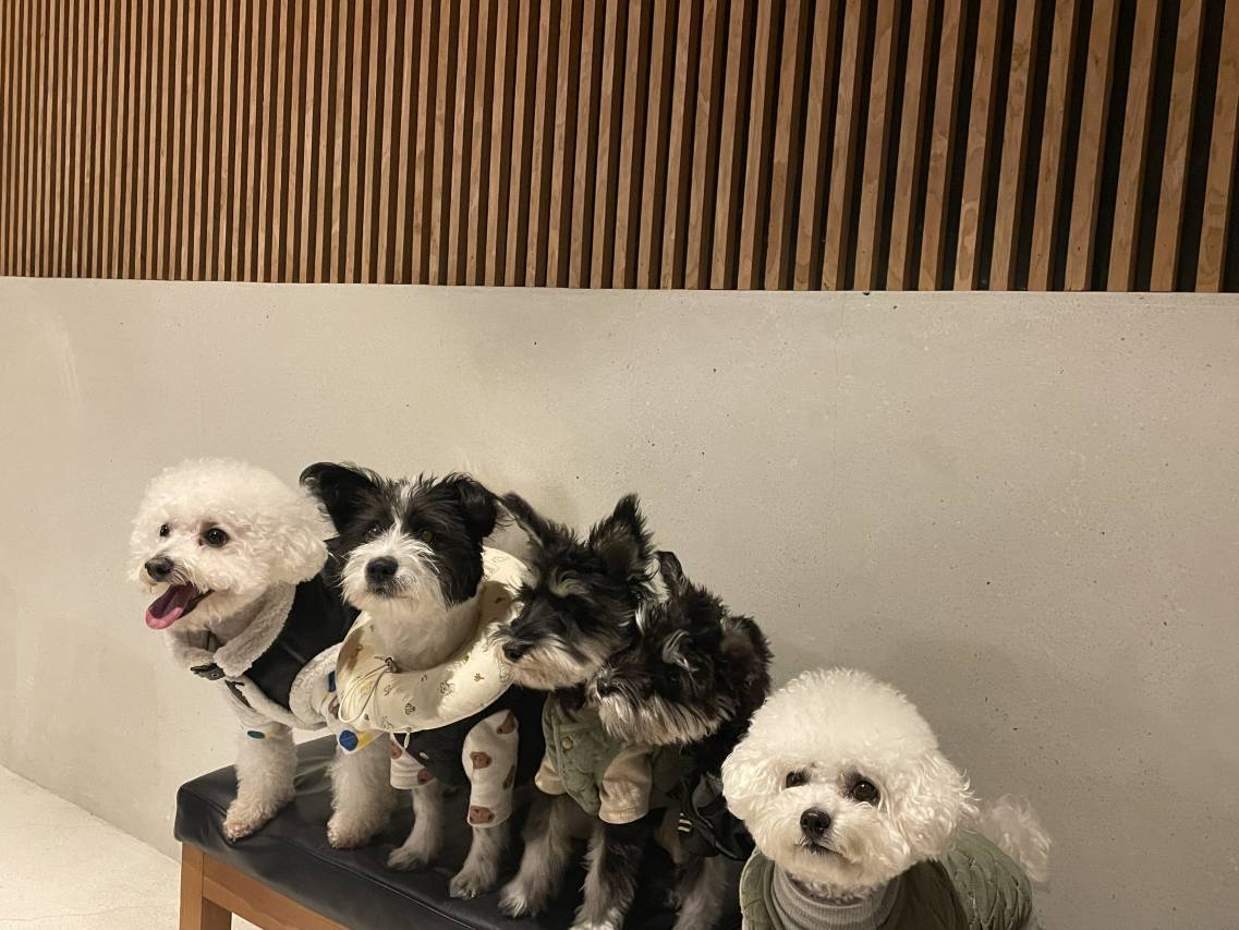 大乐之野·谷舍(余姚店)图片