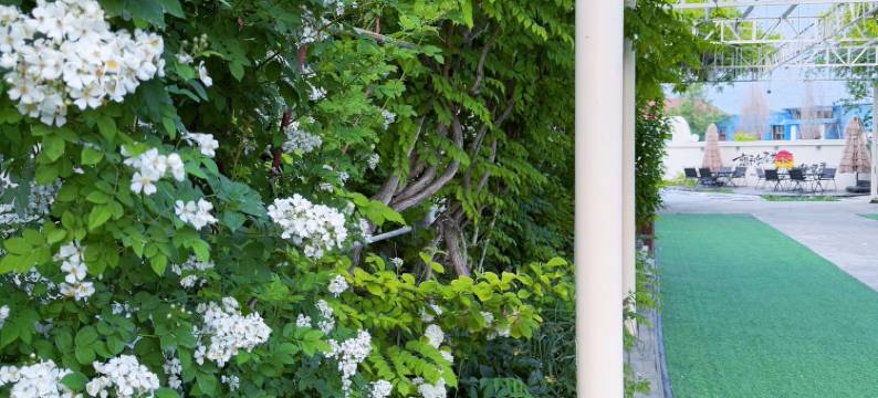 霍城香聚雅居民宿(清水河镇店)图片