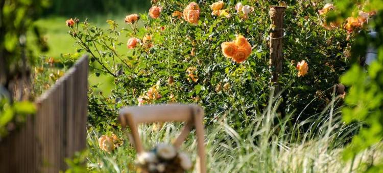 泸沽湖慕鱼民宿图片