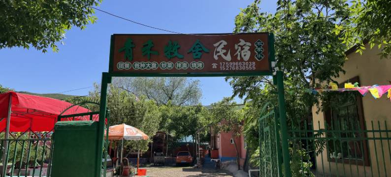 巩留青禾牧舍民宿图片
