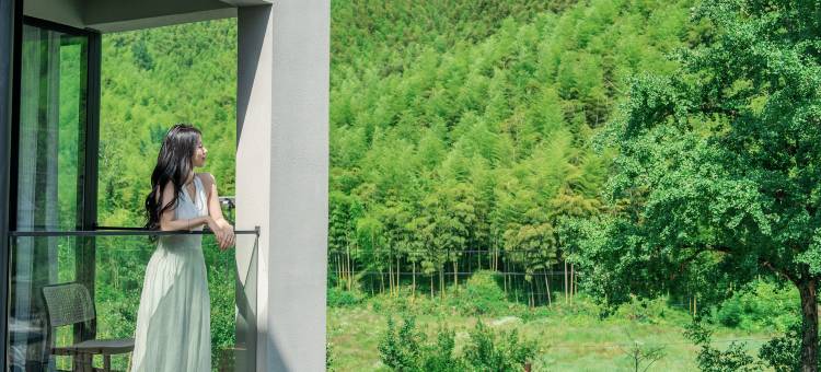 安吉·银杏墅Ginko House山野溯溪·设计师度假美宿图片