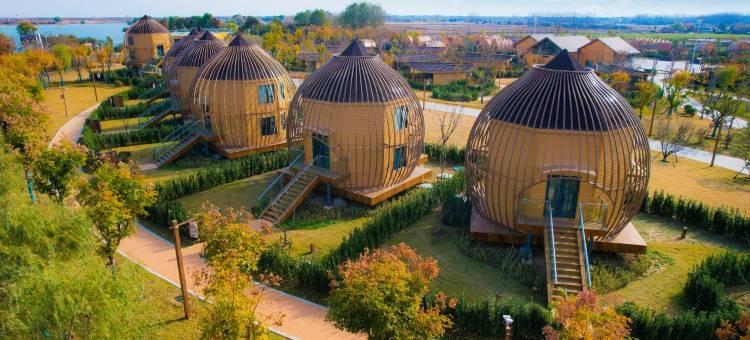 白马湖湿地酒店图片