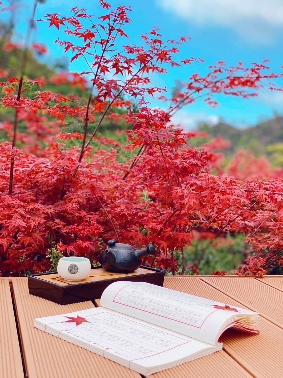 Xinfeng Lingnan maple leaves WorldHotel Overview