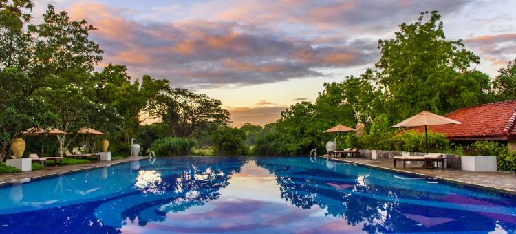 悠阁·王庭苑(阿努拉德普勒)(Uga Ulagalla - Anuradhapura)图片