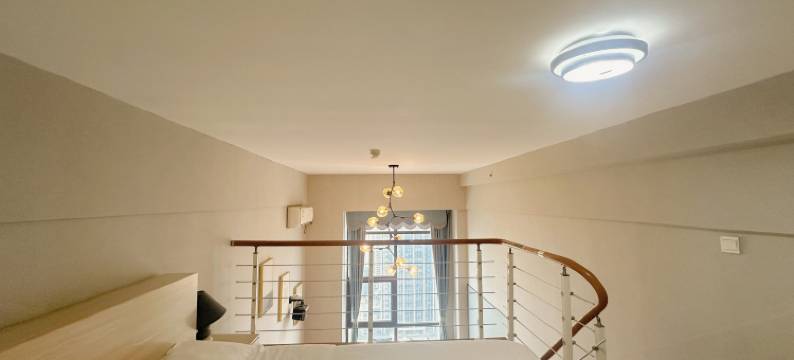 神秘树公寓(合肥明珠广场正大广场店)图片