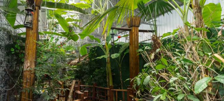 昌宁皇朝温泉酒店图片