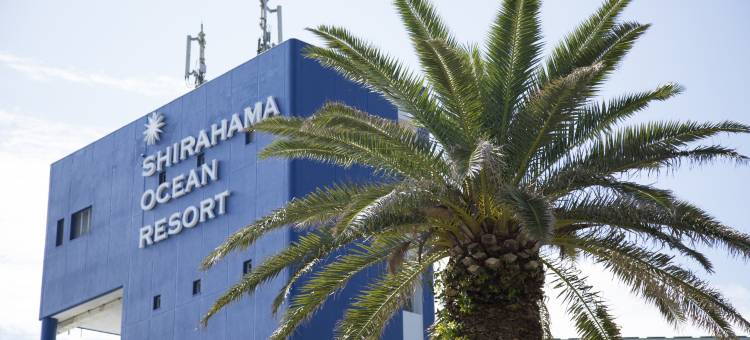 白滨海洋温泉度假酒店(Shirahama Ocean Resort)图片