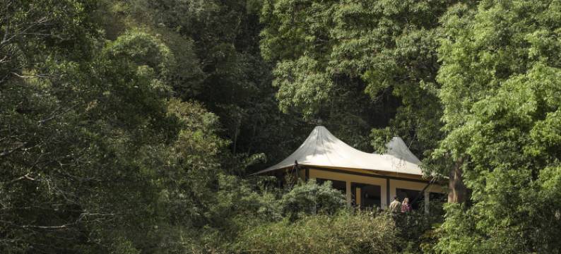 金三角华蓬四季酒店(Four Seasons Tented Camp Golden Triangle)图片