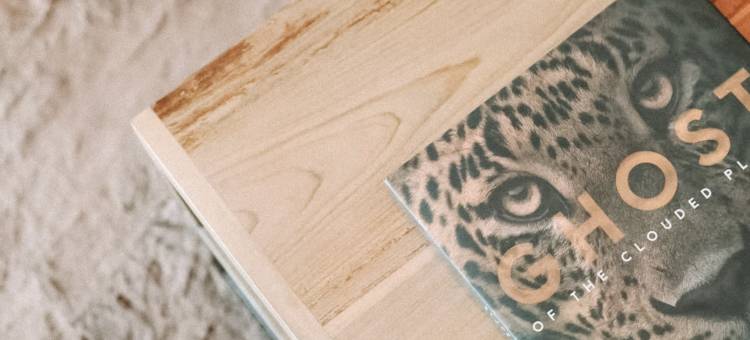 锡兰故事·加勒(Ceylon Story Galle)图片