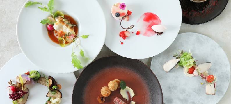 冈山全日空皇冠假日酒店(ANA Crowne Plaza OKAYAMA by IHG)图片