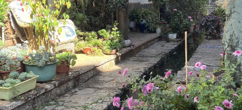 丽江觅途客栈(束河古镇店)图片