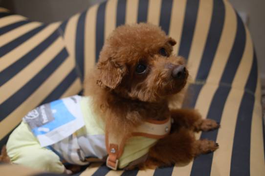 今夕何夕城市民宿(景德镇陶溪川文创街区店)图片