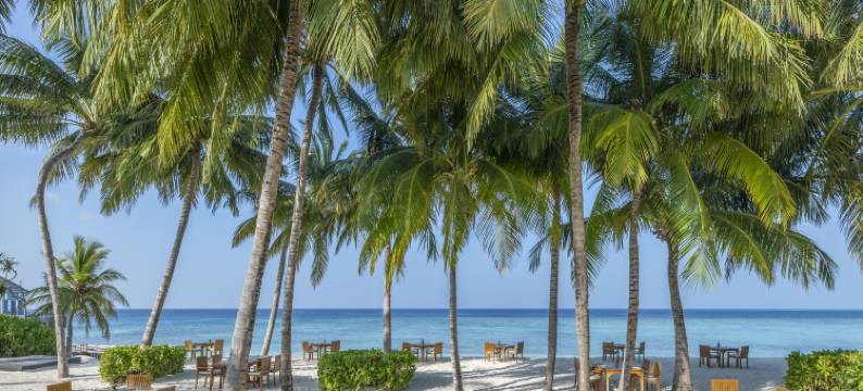 万豪马尔代夫海玺私人岛，傲途格精选酒店(The Halcyon Private Isles Maldives, Autograph Collection)图片