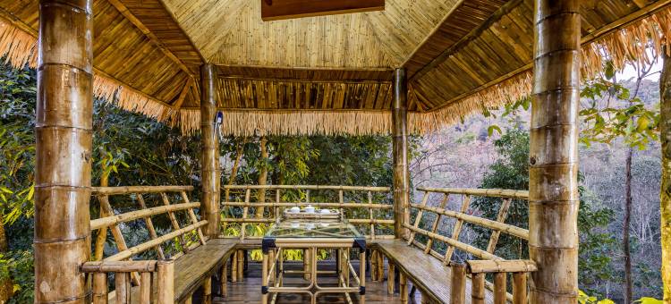 雨林民宿(西双版纳勐海店)图片