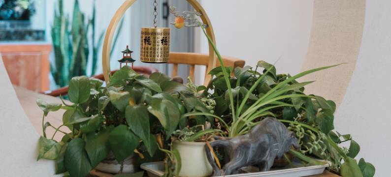 达拉特旗兴昌渔村图片