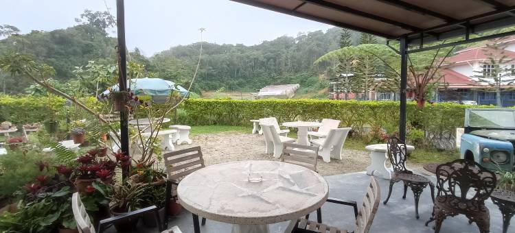 流浪者旅馆 - 仅限11岁及以上(Rovers Inn Guesthouse - Age 11 and above Only)图片