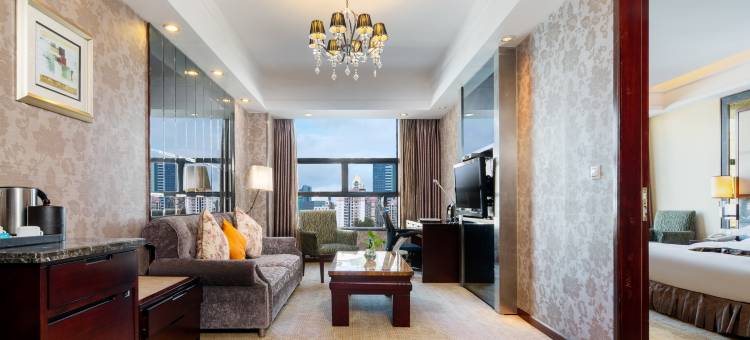 达州华阳大酒店(城市中心广场店)图片