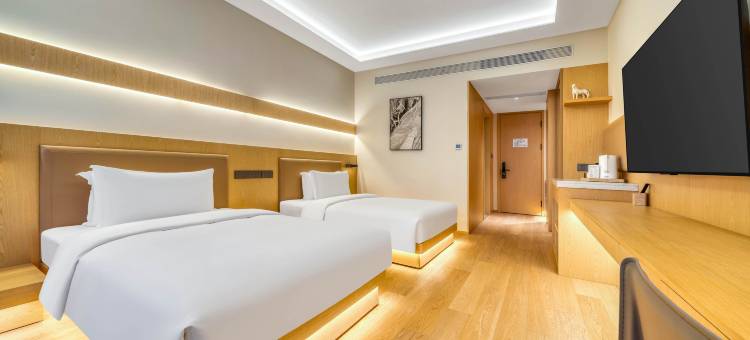 上海陆家嘴艾力万达悦华酒店图片