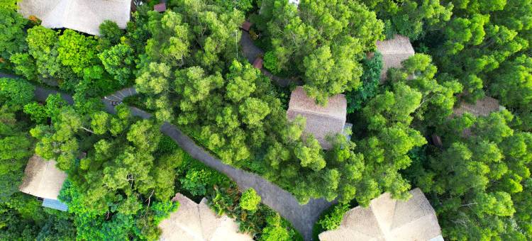 千叶·山顶私汤度假庄园图片