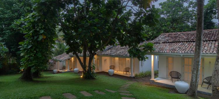 蔚十五逸境(W15 Escape)图片