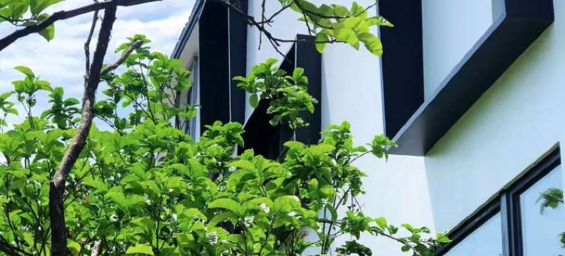 又糖里·Villa设计师星空度假美宿(白泉店)图片