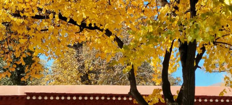 拉萨春秋富氧酒店(布达拉宫八廓街店)图片