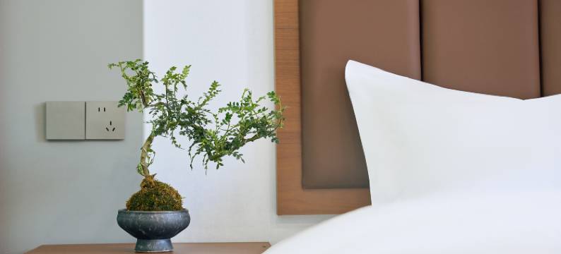 栖隐民宿(万岁山武侠城开封大学店)图片