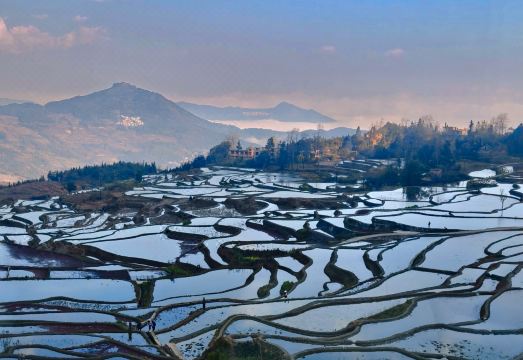 稻田理想｜蓝色梯田全景·观景民宿外景图