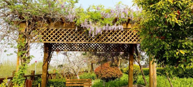 星昱酒店(洛阳宜阳洛水昌谷店)图片