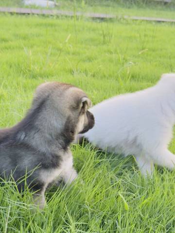 闲淡自然美集竹隐民宿图片