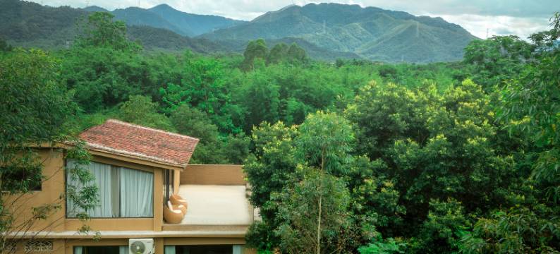 清远谷里汤泉民宿图片