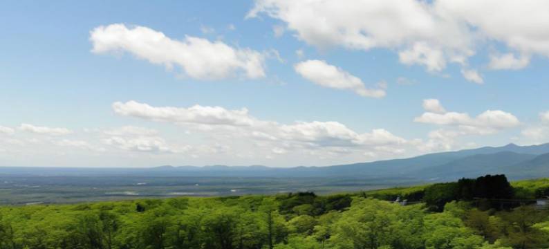 若喜日式旅馆(Wakaki Ryokan - Nasu Yumoto Onsen)图片