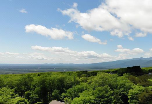 Wakaki Ryokan - Nasu Yumoto Onsen Hotel Overview