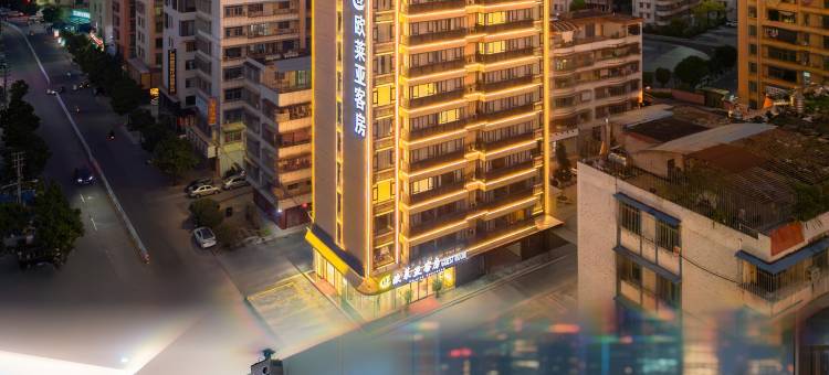 欧莱亚酒店(普宁广场万泰汇购物中心店)图片