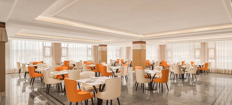 维也纳酒店(当雄县政府店)图片