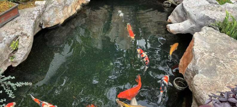 澜图丨嘉悦LANTUJOY Horizon休闲度假酒店(丽江古城忠义市场店)图片