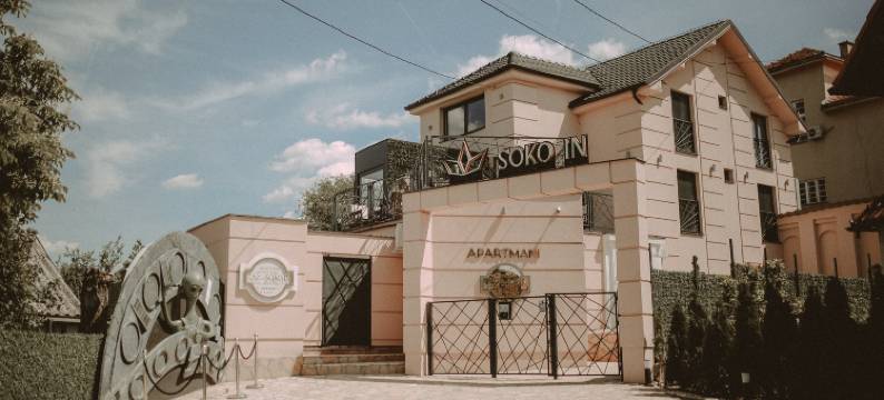 索科温泉酒店(Soko In Spa)图片