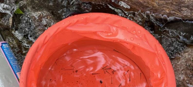 果宿轻奢泳池·亲子Villa设计师民宿图片