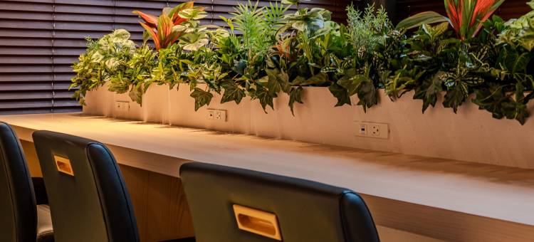 鹿儿岛天文馆里士满酒店(Richmond Hotel Kagoshima Tenmonkan)图片