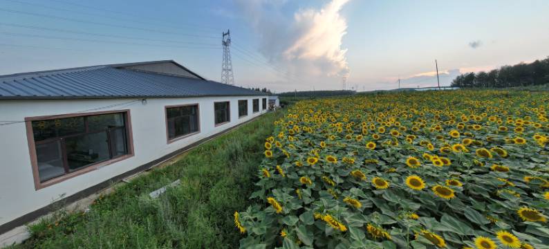 围场春升客栈图片