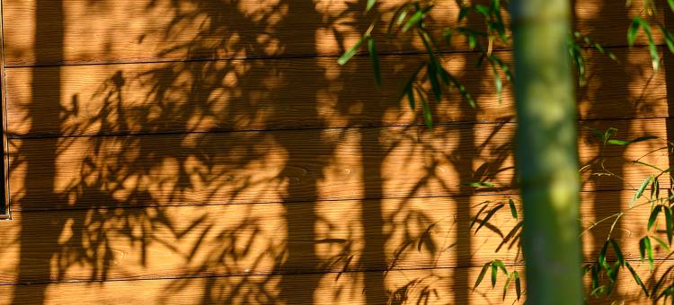长兴芳草地度假酒店图片