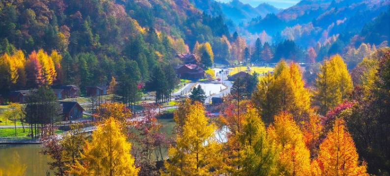 神农架神农天池民宿图片