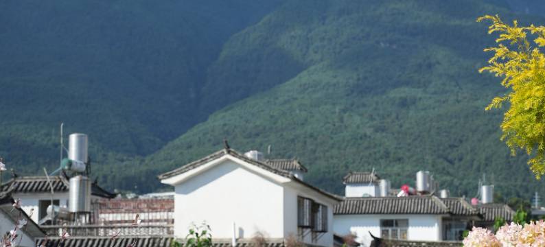 大理古城一佳园民宿图片