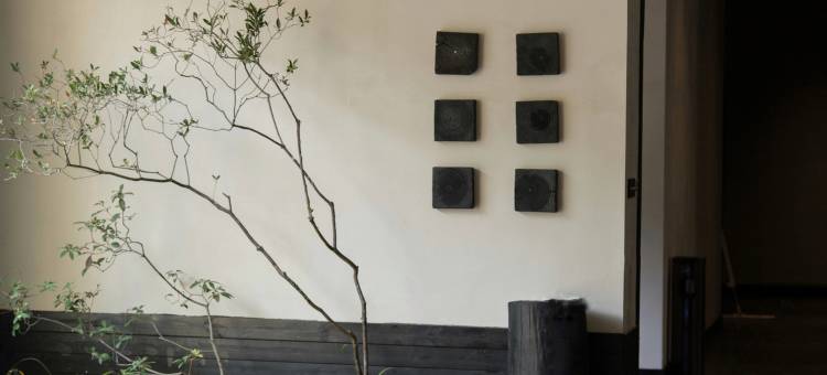 Eyelike楠居行麓图片