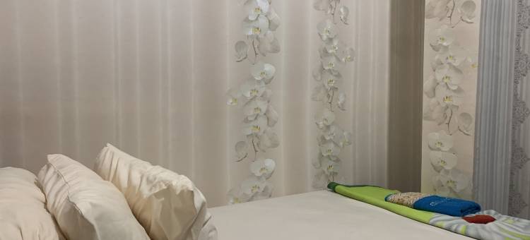 O酒店郁金香旅馆靠近塔纳邦卡村大清真寺(Hotel O Wisma Tulip Near Masjid Besar Desa Tanabangka)图片