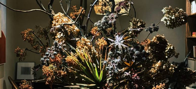 無木空间民宿图片